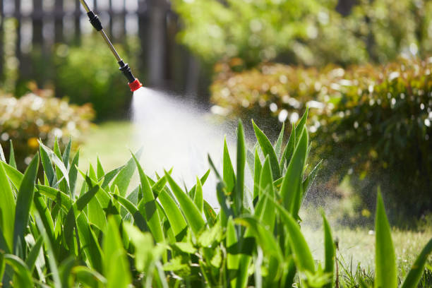 24/7 Emergency Mosquito Control experts in Premont, TX