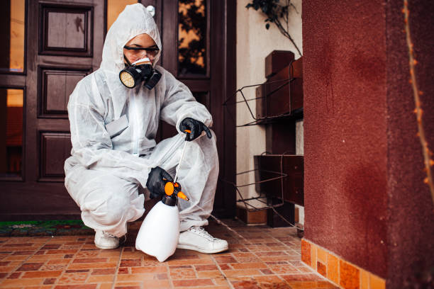 Reliable Mosquito Control contractor in Premont, TX by Show Me Pest Control